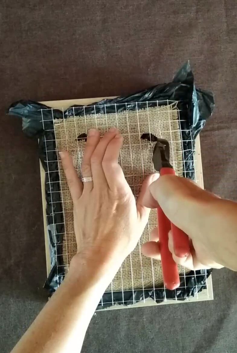 Grillage cadre végétal 1 Grillage cadre végétal