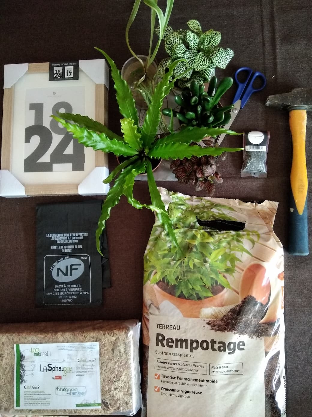 Matériel cadre végétal Matériel cadre végétal