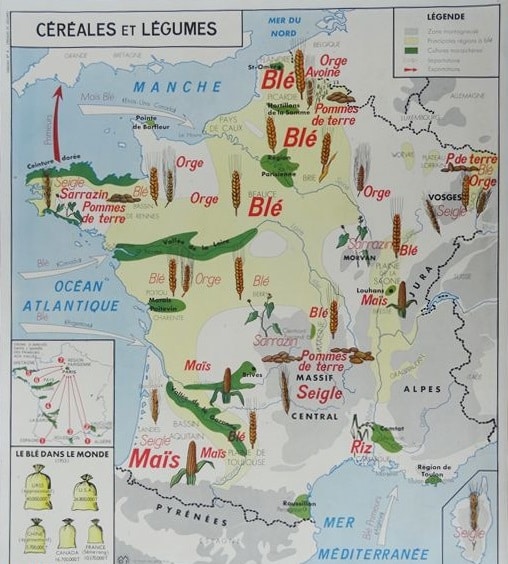 Carte scolaire productions en France