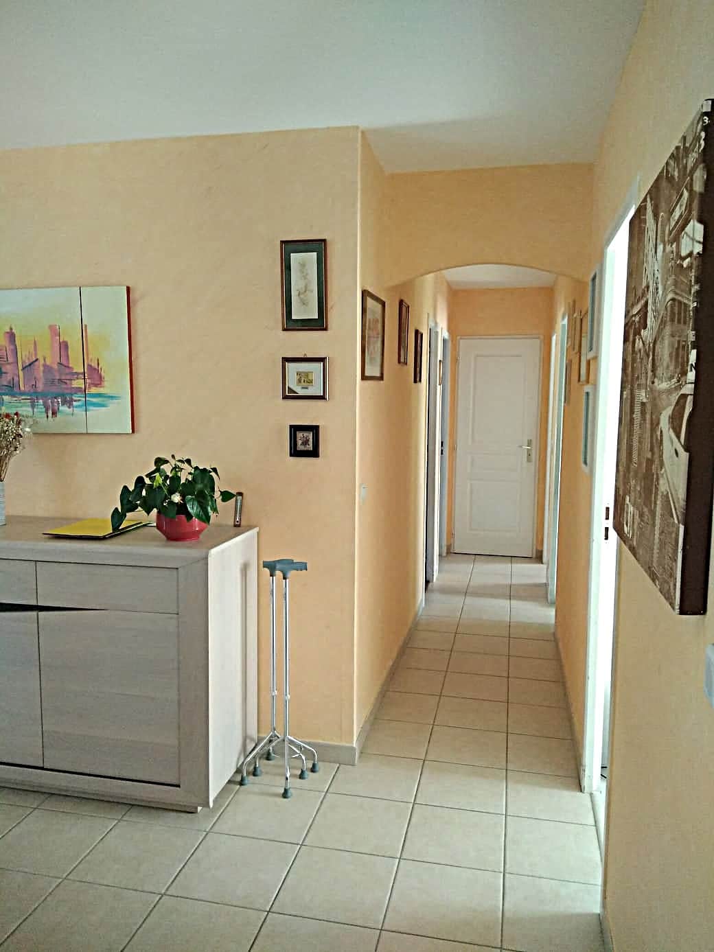 Couloir et séjour avant 1-Projet Parc